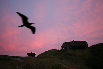 Image showing Sunset landscape