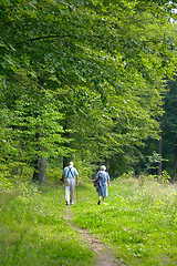 Image showing couple in the forest