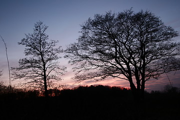 Image showing Sunset landscape