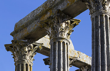 Image showing Columns