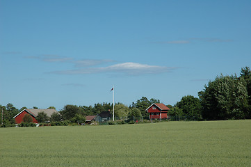 Image showing cornfield and farm