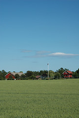 Image showing cornfield and farm