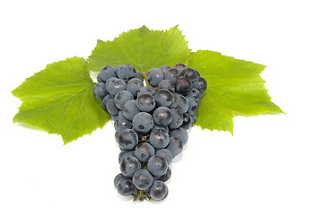 Image showing Dark grape