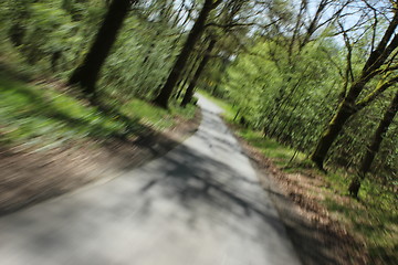 Image showing  forest road speeding