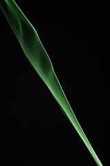 Image showing Green Laminar Flow