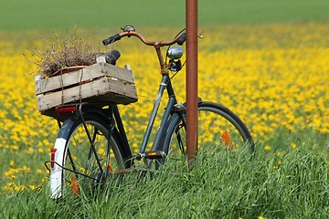 Image showing countryside bicycle