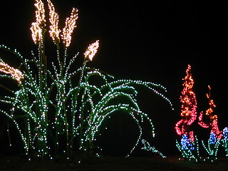 Image showing Light Display