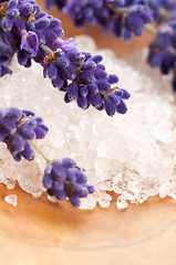 Image showing Lavender Spa 
