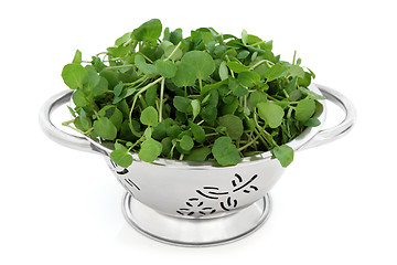 Image showing Watercress