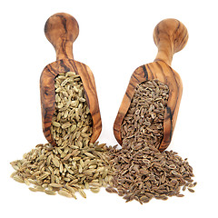 Image showing Fennel and Dill Seed