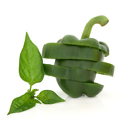 Image showing Sliced Green Pepper