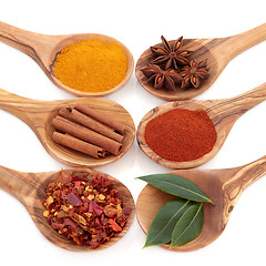Image showing Spice and Herb Seasoning