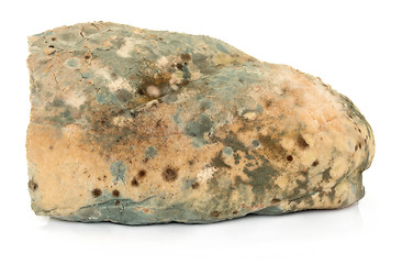 Image showing Mould on Bread