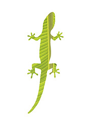 Image showing Gecko on white