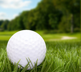 Image showing Golf Ball