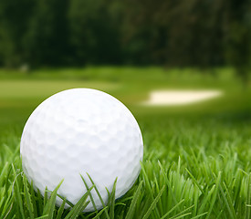 Image showing Golf Ball