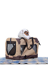 Image showing Jack Russel Terrier with a carrying bag