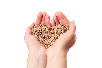 Image showing Wheat Heart in Hand