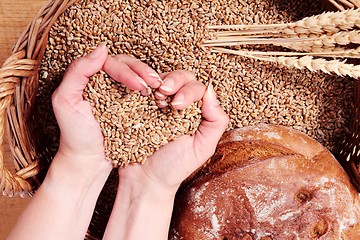 Image showing Wheat Heart with bread