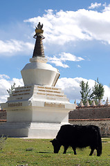 Image showing Landscape in Tibet