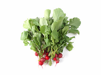 Image showing Radish vegetables