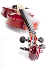 Image showing Violin on white