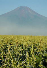 Image showing Mount Fuji in Iowa