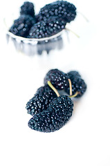 Image showing fresh ripe mulberry over white