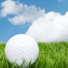 Image showing Golf Ball