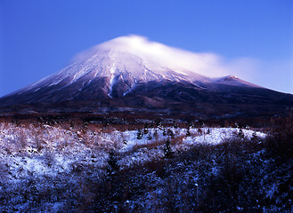 Image showing Winter Wonderland