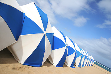 Image showing Beach Umbrellas