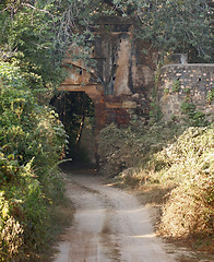 Image showing Ranthambore National Park