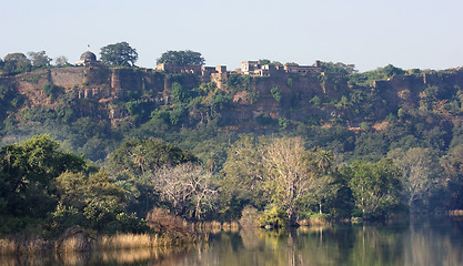 Image showing Ranthambore National Park