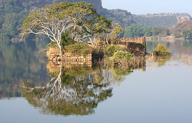 Image showing Ranthambore National Park