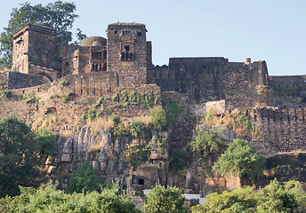 Image showing Ranthambore National Park