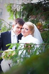 Image showing beautiful groom and the bride near a Christmas tree