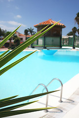 Image showing Pool Foliage