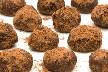 Image showing Bunch of chocolate truffles with cocoa powder