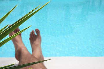 Image showing Foliage Pool Legs