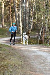 Image showing The sports woman with a dog run  in park