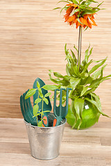 Image showing Fresh herbs with gardening tools 