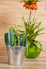 Image showing Fresh herbs with gardening tools 