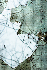 Image showing Cracked window with web