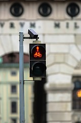 Image showing Pedestrian lamp in the city