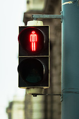 Image showing Pedestrian lamp in the city