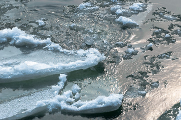 Image showing Ice on water