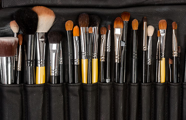 Image showing Makeup brushes in leather