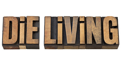 Image showing die living advice in wood type