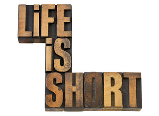 Image showing life is short phrase in wood type