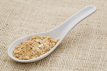 Image showing maca root powder on a ceramic spoon